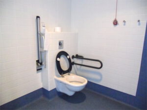 Adapted toilets